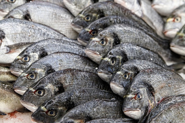 Fish exposed in fish market for sale to the consumer