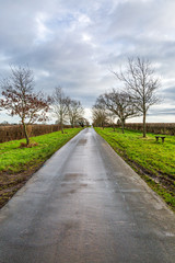 Looking along a country road in Sussex on a winters day