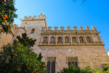 Orange trees in front the beautiful stone building in Valencia Spain