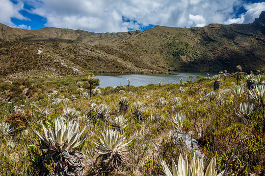 Beautiful landscape of Colombian Andean mountains showing paramo type vegetation in the department of Cundinamarca