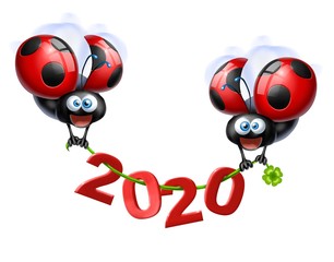 Plakat coccinella 2020