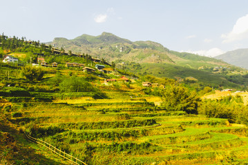 Panoramic view of Y Linh Ho valley with rice terraces surrounded with mountains by Sapa, Vietnam 