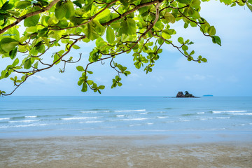 The scenery of the sea with green leaves is a beautiful foreground.