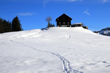 Fototapeta na wymiar beautiful winter landscape - Vorarlberg Austria