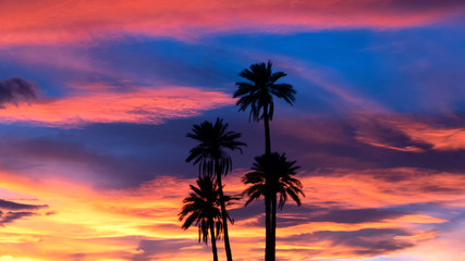 Obraz na płótnie Canvas Morocco, silhouette of palm trees against a dramatic sunset