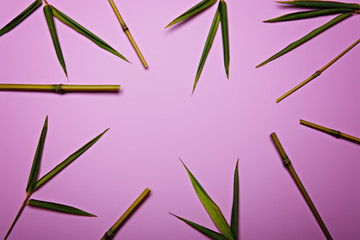 Composition of stems and leaves of bamboo on a light pink background. Flat lay. Copy space.