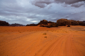 Wadi Rum Desert in Jordan. On the Sunset. Panorama of beautiful sand pattern on the dune. Desert landscape in Jordan.