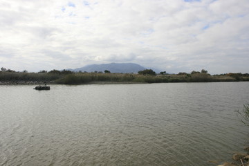 animals, birds, mediterranean beaches, recreational rivers spain