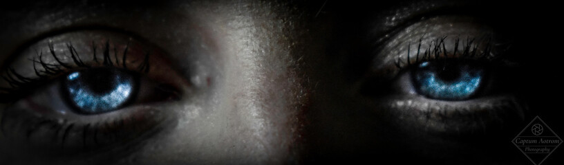Fototapeta premium Sapphire Eyes