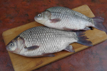 crucian fish lying on the table top view