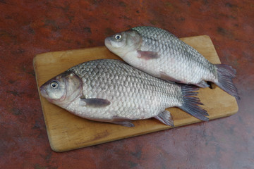 crucian fish lying on the table top viewcrucian fish lying on the table top view