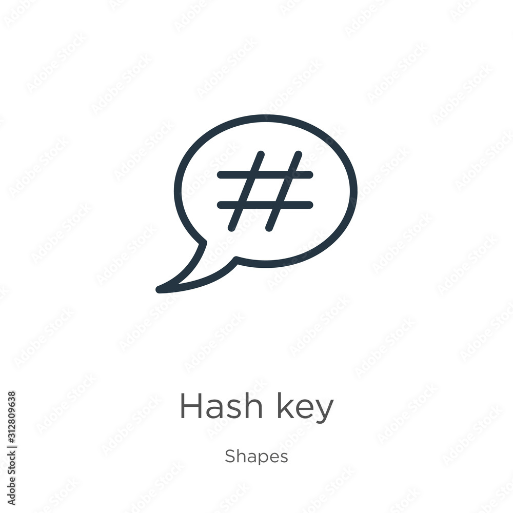 Poster hash key icon. thin linear hash key outline icon isolated on white background from shapes collection