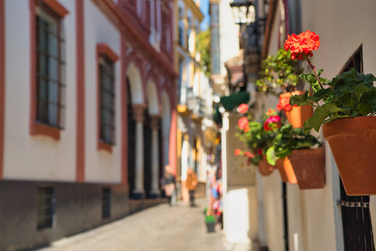 Barrio De Santa Cruz, Sevilla, España