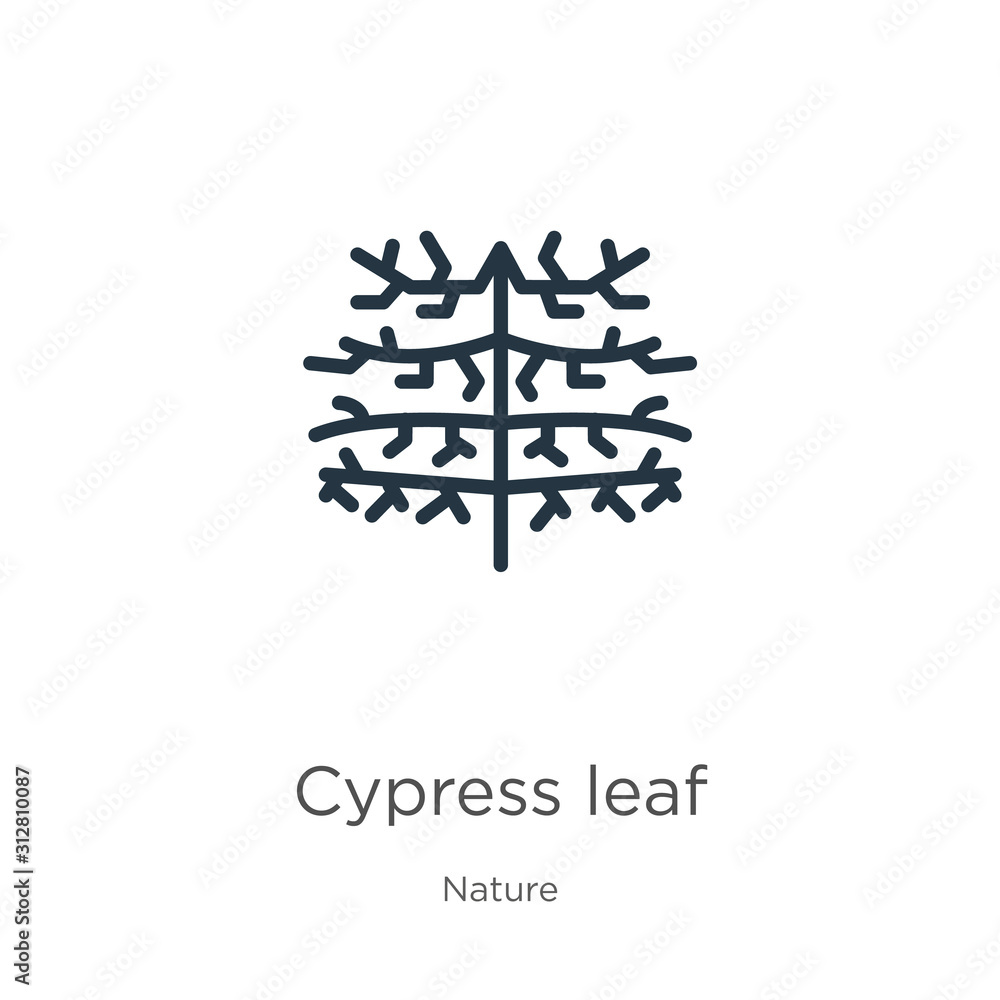 Poster cypress leaf icon. thin linear cypress leaf outline icon isolated on white background from nature co