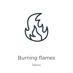 Burning flames icon. Thin linear burning flames outline icon isolated on white background from nature collection. Line vector sign, symbol for web and mobile