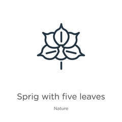 Obraz premium Sprig with five leaves icon. Thin linear sprig with five leaves outline icon isolated on white background from nature collection. Line vector sign, symbol for web and mobile