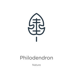 Philodendron icon. Thin linear philodendron outline icon isolated on white background from nature collection. Line vector sign, symbol for web and mobile