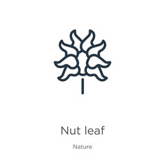 Nut leaf icon. Thin linear nut leaf outline icon isolated on white background from nature collection. Line vector sign, symbol for web and mobile