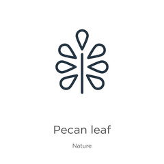 Obraz premium Pecan leaf icon. Thin linear pecan leaf outline icon isolated on white background from nature collection. Line vector sign, symbol for web and mobile