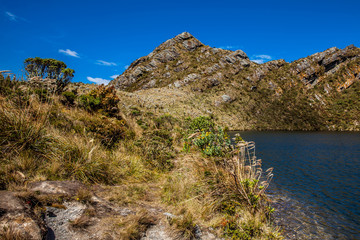 Beautiful landscape of Colombian Andean mountains showing paramo type vegetation in the department of Cundinamarca