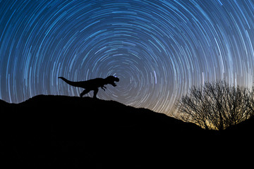 Silhouette of tyrannosaurus rex at night with startrail in the background.
