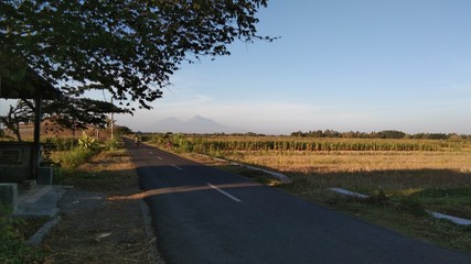 Fototapeta premium landscape with river