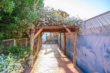 gazebo in the garden