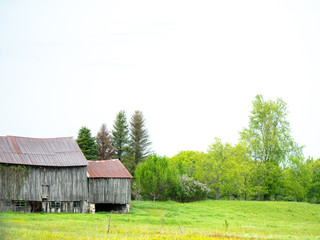 old barn in field