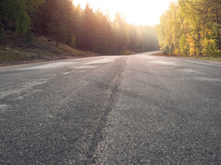 Empty asphalt road in a forest. New surface without marking, Warm sunny day, Nobody. Sun flare. Low angle of view. Selective focus.
