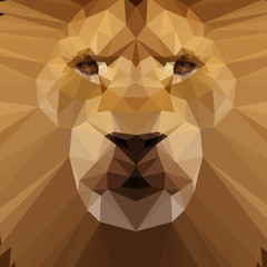 The Majestic Geometry Lion © Mateusz