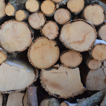 pile of logs