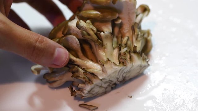 舞茸を切る