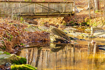 Winter scene on a hiking trail.