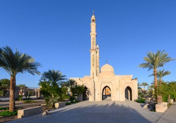 Fototapeta na wymiar mosque in egypt