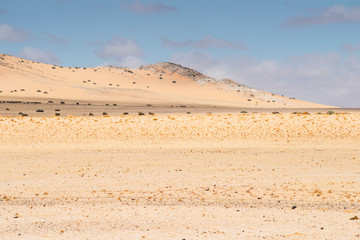 Fototapeta na wymiar empty desert in Namibia