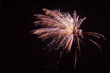 fireworks in the dark sky