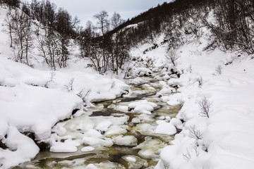 A streaming winter river in the mountains of Setesdal, Norway. River is surrounded by trees, snow and ice