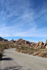 This road, through Indian Cove of Joshua Tree National Park, is flanked by native plant communities of the Southern Mojave Desert.