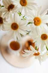 Bouquet of chamomiles