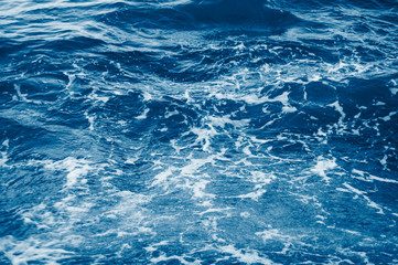 Color trend 2020. Defocused surface of sea water colored by sunset light.