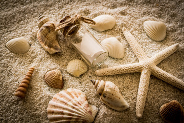 ビーチコーミング