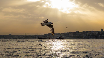 Atardecer en el Bósforo, en Estambul