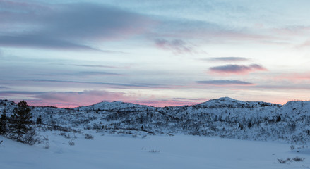 Early pink morning, winter mountain landscape. Panorama.