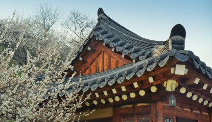 Fototapeta premium Roof of a traditional korean house (hanok) in Maehwa village, Gwangyang, South Korea