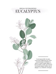 Eucalyptus floral watercolor art card template, hand-drawn vector concept with liquid flower and leaves. Realistic greeting template, wedding graphics, holiday bouquet greenery decoration
