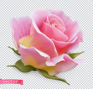 Pink rose 3d realistic vector object