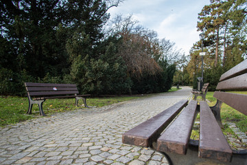 Park Szczytnicki w jesienno zimowym zielonym krajobrazie z poziomu ławek