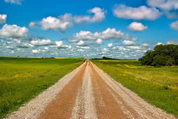Prairie field road in rural Saskatchewan Canada - obrazy, fototapety, plakaty