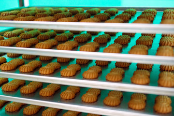 Shortbread.  Production of shortbread cookies at a confectionery factory.  Shortbread cookies on a metal rack after baking in the oven.