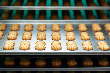 Shortbread.  Production of shortbread cookies at a confectionery factory.  Shortbread cookies on a metal rack after baking in the oven.